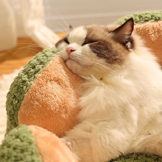 CWV Cute Cat Beds Kitten Beds, Soft Small Dog Beds, Washable Pet Beds for Puppy and Kitty, Cactus Shape, 23 Inch