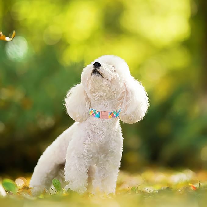 Unique style paws Easter Dog Collar Plastic Buckle Puppy Collar Colorful Plaid Puppy Collars for Small Medium Large Boys Girls Dogs