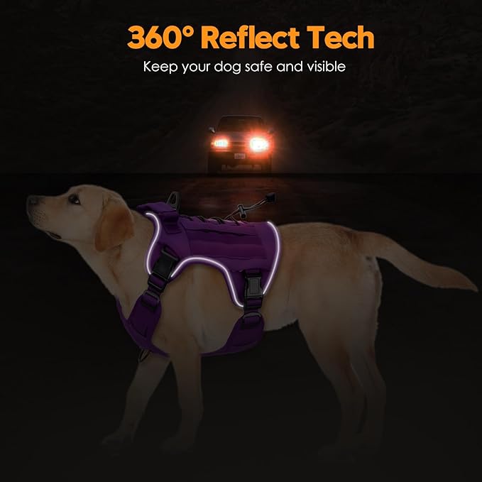 Heavy-Duty Tactical Dog Harness for Large Dogs, No Pull Adjustable Reflective Pet Vest with Molle System, K9 Military-Grade Control for Service Training, Outdoor & 10+ Breeds, Purple, Large
