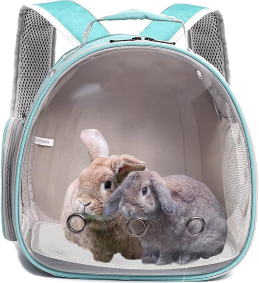 Guinea Pig Backpack Carrier, Bearded Dragon Carrier Backpack with Clear Bubble Window,Small Animal Travel Backpack for Hedgehog Rat，Chameleon,Rabbit,Sugar Glider,Airline Approved (Green, Backpack)