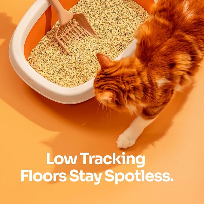 Tofu Cat Litter – Clumping, Flushable, Ultra Absorbent & Fast Drying | 100% Natural, Dust-Free, Low Tracking | Water-Soluble & Eco-Friendly (2.5 lbs x 1 Bag)