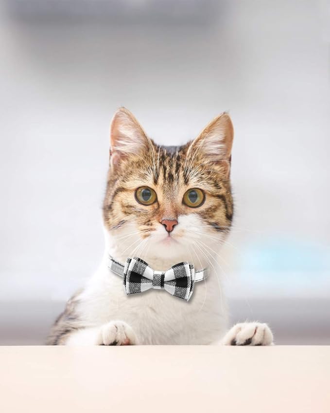 Joytale Upgraded Cat Collar with Bells, Breakaway Cat Collars with Bow Tie, 2 Pack Girl Boy Safety Plaid Kitten Collars, Black+Blue