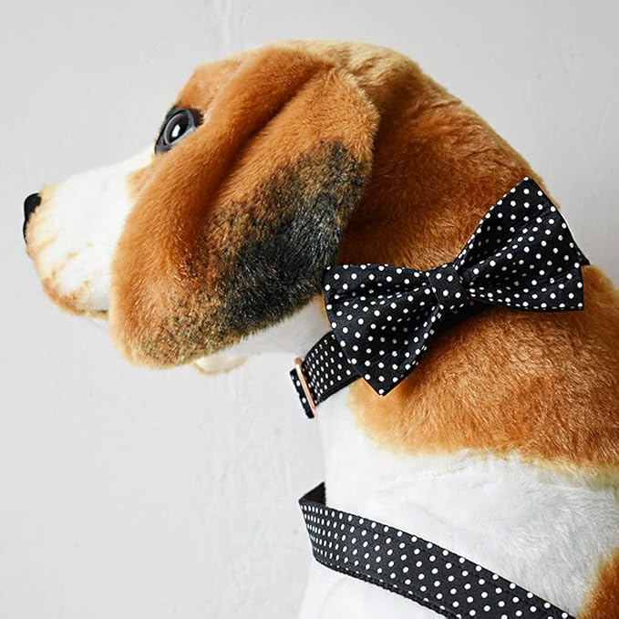 Custom Dog Collar with Names and Phone Number Engraved, Puppy Tags Personalized for Small Medium Large Pets