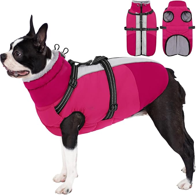 AOFITEE Dog Coat, Warm Dog Jacket with Harness Built-in, Waterproof Medium Dogs Cold Weather Coat with Zipper, Reflective Fleece Lined Pet Snow Jackets for Pug, Jack Russell, Boston Terrier, HotPink M