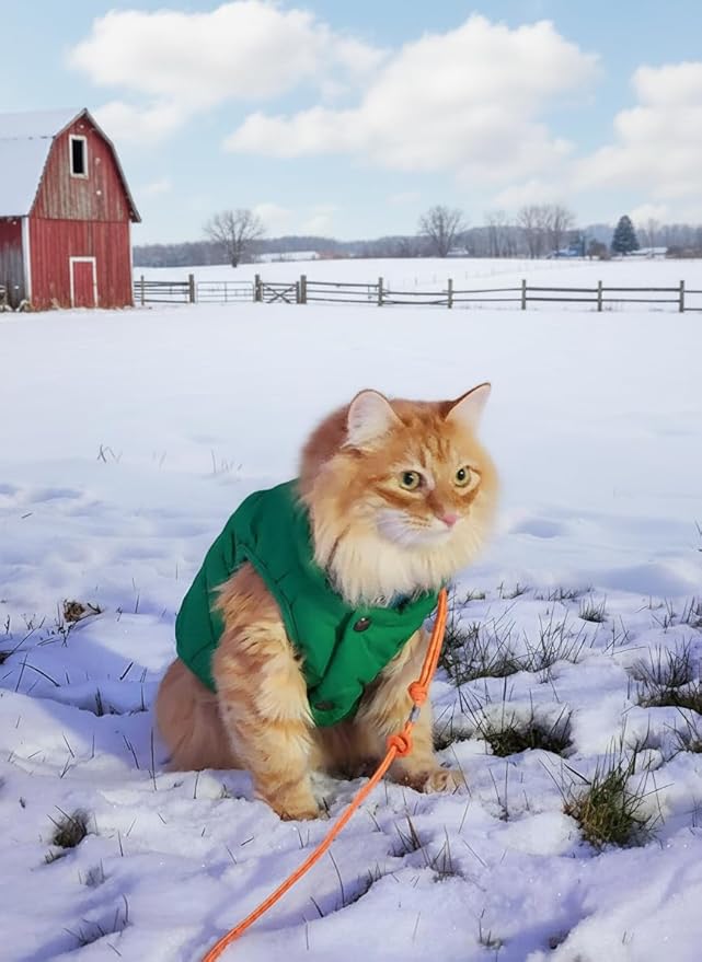 ASENKU Dog Winter Coat - Waterproof Windproof Dog Jacket, Warm Snowproof Doggie Puffer Vest for Cold Weather, Lightweight Snow Coats for Small Medium Large Dogs (XXXL, Green)