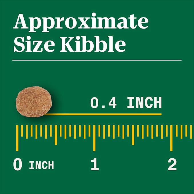 Nutro Natural Choice Adult Dry Dog Food, Chicken and Brown Rice Recipe, 13 lbs.