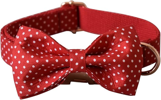 Custom Dog Collar with Names and Phone Number Engraved, Puppy Tags Personalized for Small Medium Large Pets