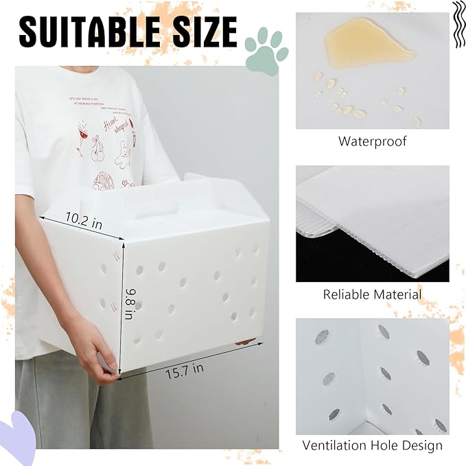 10 Pcs Plastic Pet Carriers 15.7 x 10.2 x 9.8 Inch for Small Animals Cat Hamster Guinea Pig Rabbit Bird Travel Box