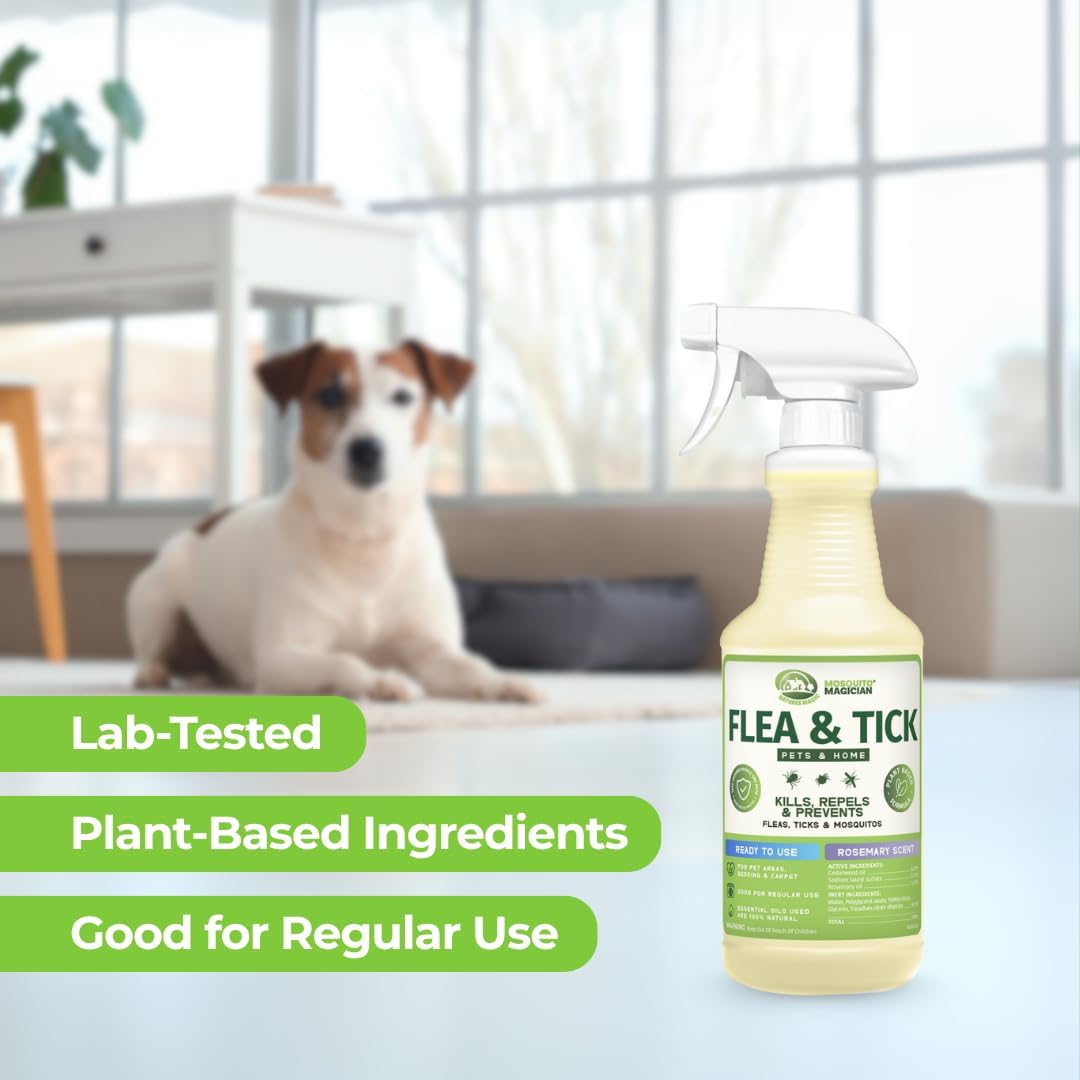 Mosquito Magician Indoor and Outdoor Spray - Use for Carpet, Furniture, Bedding, Couches & Pets – Plant-Sourced with Essential Oil – Mint, 16 OZ