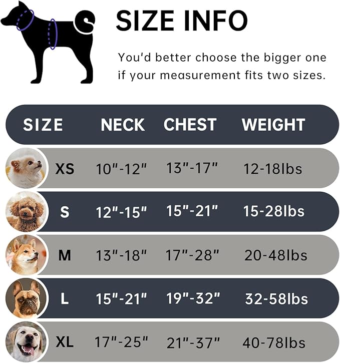 IVY&LANE No Pull Dog Harness for Small Dogs, Dog Vest Harness with Leash, Safety Belt and Storage Strap, Fully Adjustable Harness, 360° Reflective Strip, Soft Handle (Black, S)