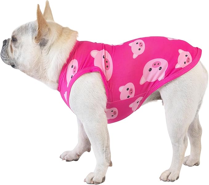 CuteBone Dog Shirts 2-Pack Soft Pet Clothes Breathable Summer Vest for Small Puppy and Stretchy Cat Apparel 2BX09L
