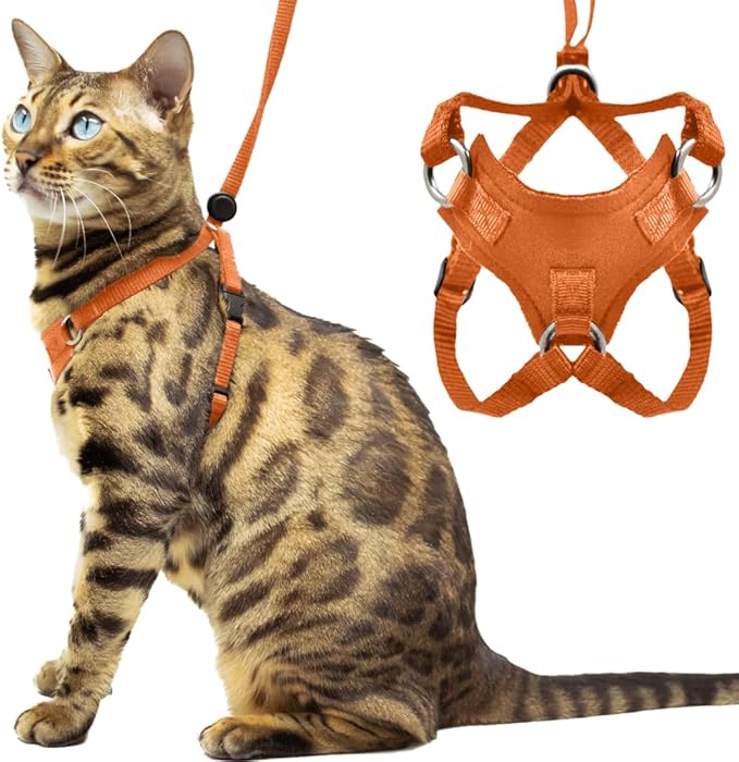 Houdini™ Escape Proof Kitten Harness and Leash Set by OutdoorBengal – Orange, Small Cat Harness for Walking
