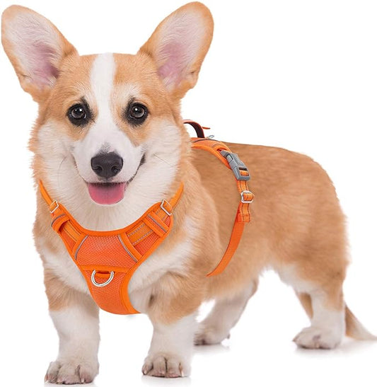 BARKBAY No Pull Dog Harness Large Reflective Dog Harness with Front Clip and Easy Control Handle for Walking Training Running with ID tag Pocket(Orange,M)