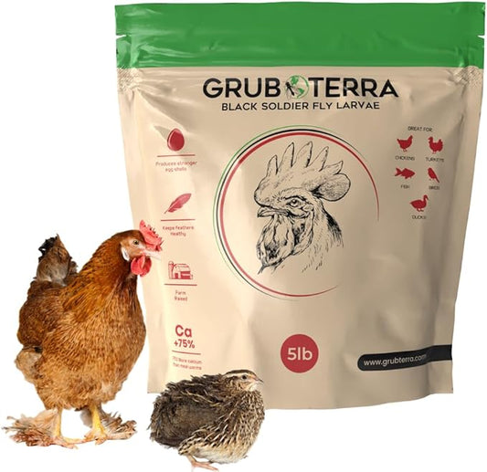 GrubTerra Golden Dried Black Soldier Fly Larvae - Premium Supplement to Increase Egg Production for Hen Treats, Bird Feed, Chicken Feeder, Pet Bird Food, and Wildbird Feed, Never from China! (5lb)