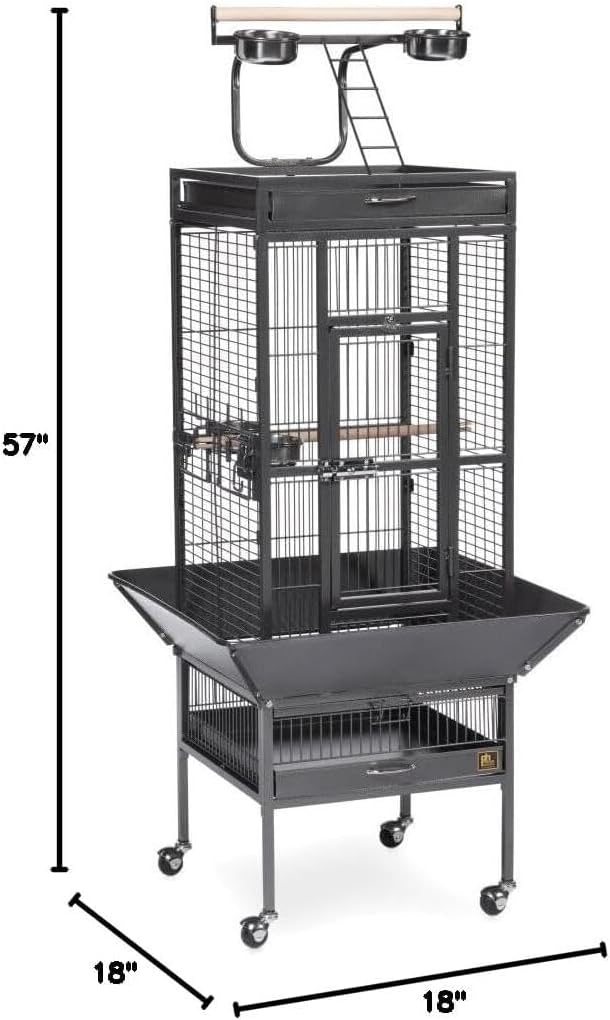Retro Renaissance Iron Select Bird Cage with Elegant Design, Durable Construction, Easy-Clean Tray Black Hammertone