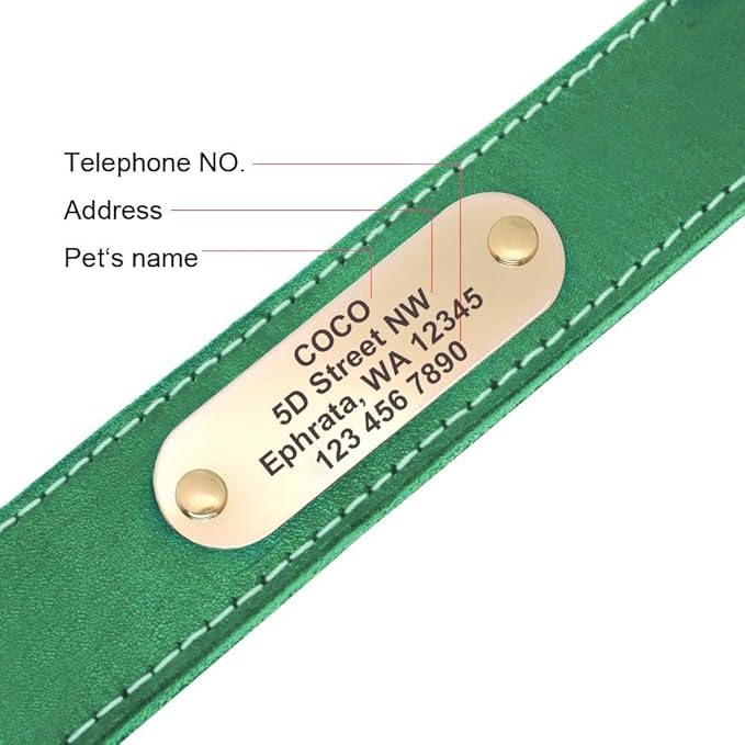 Didog Genuine Leather Dog Collars with Engraved Nameplate, Personalized Soft Leather Dog Collar with Custom ID Tag, Brown/Green/Red for Small Dogs (M,Green)