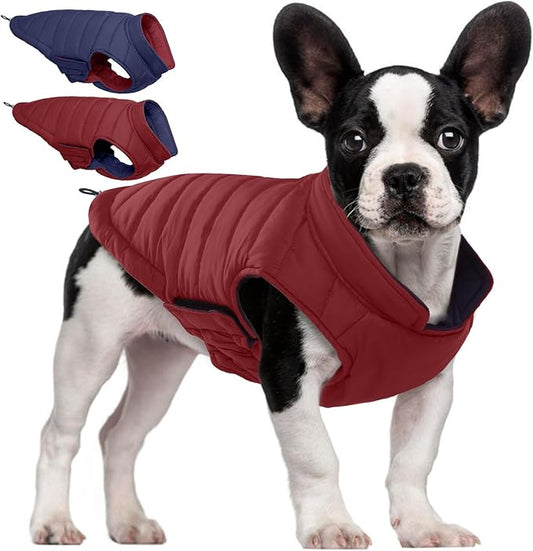 QBLEEV Reversible Dog Coat, Waterproof Winter Puffer Jacket with Leash Hole, Warm Dog Snow Gear for Medium Dogs Cold Weather, Adjustable French Bulldog Padded Vest for Outdoor Walks, Wine Red, L