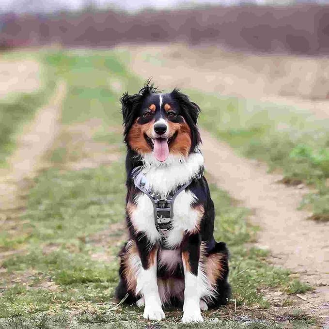 Auroth Tactical Dog Training Harness No Pulling Front Clip Leash Adhesion Reflective K9 Pet Working Vest Easy Control for Small Medium Large Dogs Grey Camo L