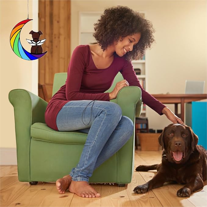 Dog Memorial Gifts, Death Sympathy Gift for Loss of Dogs, Rainbow Bridge Pet Passing Away Pet Memorial Sun Catcher Gifts