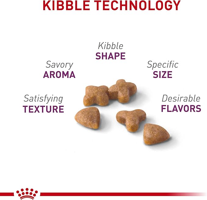 Royal Canin Adult Cat Sensitive Digestion Dry Adult Cat Food, 15 lb bag