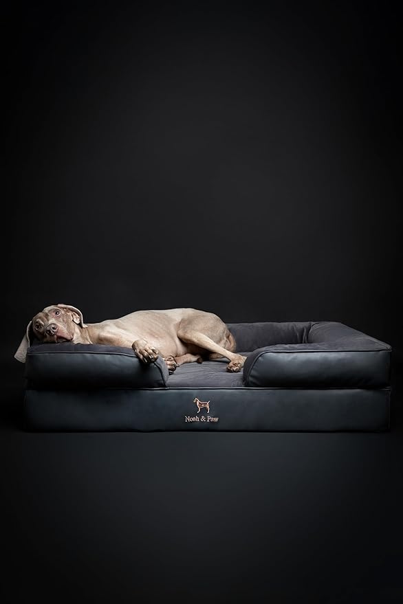 NOAH & PAW XL Dog Bed, 45x35x11 Inch, Orthopedic Large Dog Beds, Eggshell Memory Foam Infused with Cooling Gel, Inner Cover, Waterproof, Machine Washable (Faux Leather Sofa Collection)