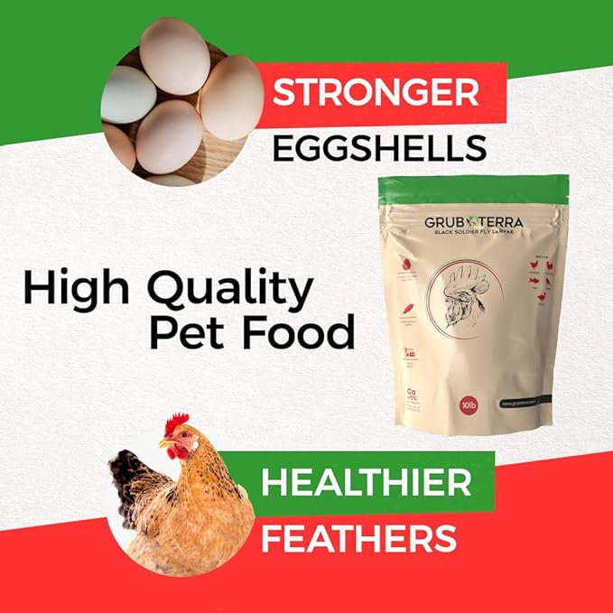 GrubTerra Golden Dried Black Soldier Fly Larvae - Premium Supplement to Increase Egg Production for Hen Treats, Bird Feed, Chicken Feeder, Pet Bird Food, and Wildbird Feed, Never from China! (5lb)
