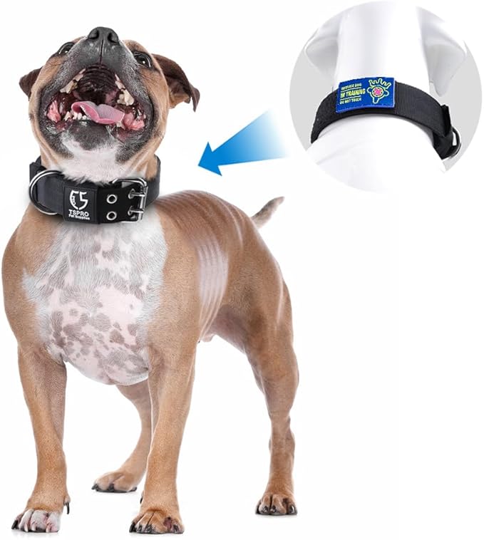 TSPRO Tactical Dog Collar, Adjustable, with Patch & Double Needle Metal Buckle, Heavy Duty for Medium to Large Dogs, Durable for Walking, Running, Hiking & Training (Khaki M+)