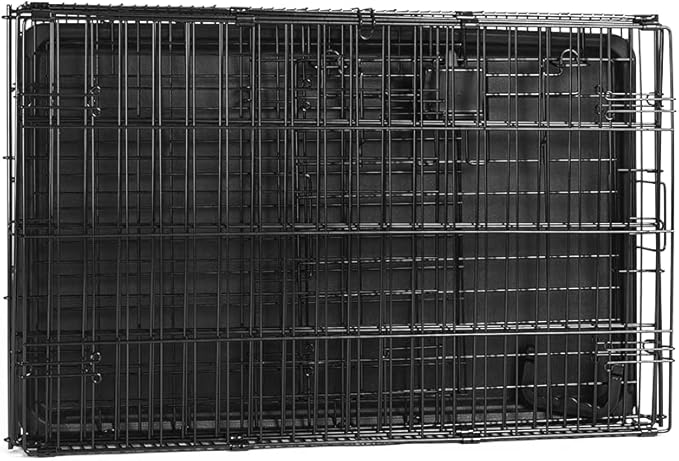 Amazon Basics Durable, Foldable Metal Wire Dog Crate with Tray, Single Door, 30 x 19 x 21 in, Black