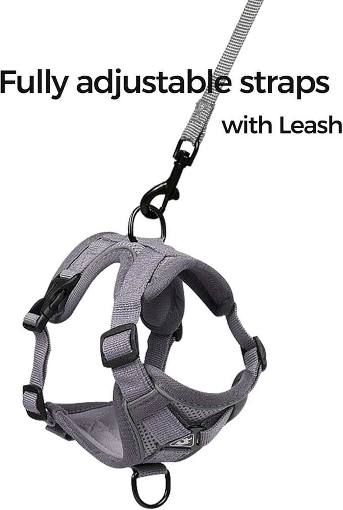 Cat Harness and Leash Set Escape Proof Tactical Medium Kitten Harness Emotional Support Cat Vest, Grey, M