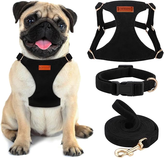 No Pull Dog Harness- Lightweight, Soft, Adjustable Small Harness Collar and Leash Set, Suitable for Cats Puppy Small and Medium-Sized Dog Outdoor Training and Running (Black, M)