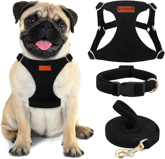 No Pull Dog Harness- Lightweight, Soft, Adjustable Small Harness Collar and Leash Set, Suitable for Cats Puppy Small and Medium-Sized Dog Outdoor Training and Running (Black, M)
