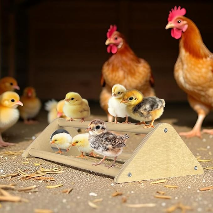 Chicken Toys with Mirror, Roosting Bars for Chicks in Coop and Brooder, Wooden Chicken Perch, Coop Accessories for Large Bird, Baby Chicks, Parrot