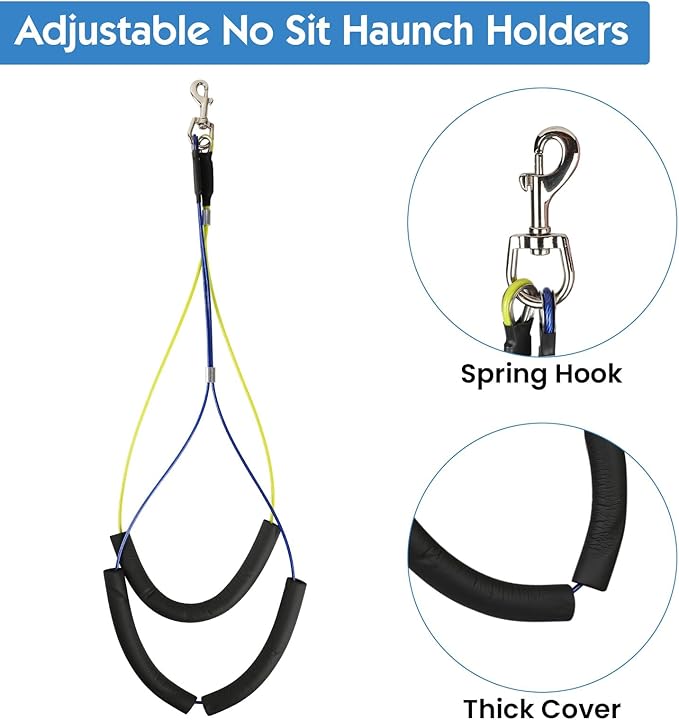 Dog Grooming Arm, Adjustable Pet Grooming Arm with Clamp for Small and Medium Dogs,Grooming Loop and No Sit Haunch Holder (Black, 42" H Arm + Heavy Duty Double Clamp + Hammock)