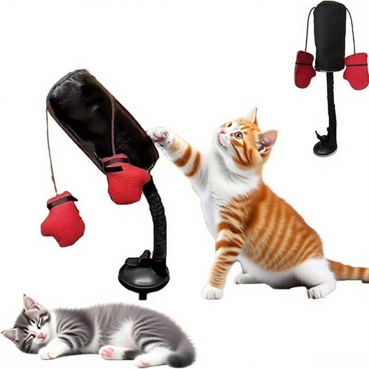 cat Boxing Gloves Toy, Boxing cat Toys, Interactive Kitten Toys Punching Bags, Punching Bag Games Gym (1 Piece)