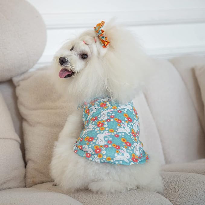 CuteBone Dog Shirts 2-Pack St.Patrick's Day & Easter Soft Pet Clothes Breathable Summer Vest for Small Puppy and Stretchy Cat Apparel 2BX12XL