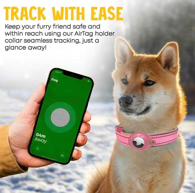 Essential Pet Supplies: Pet Collar for Small Dogs with Reflective AirTag Holder and Secure,Comfortable Padding Bundled with Safe Dog Nail Clippers and Self-Cleaning Dog Brush