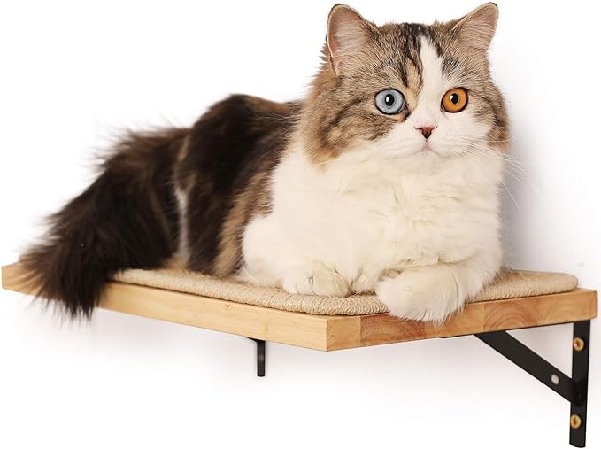 FUKUMARU Cat Wall Shelves, 16 x 10 Inch Cat Walls Furniture with Sisal Mat, Solid Rubber Wood Floating Shelf with Upgraded Installation, Kitten Wall Tree for Sleeping, Playing and Scratching