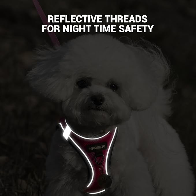 Dog Harness and Leash Set, Dog Harness for Dogs No Pull, No-Chock Step-in Reflective Breathable Lightweight Easy Walk Vest Harnesses with Safety Buckle for Small Medium Dogs, Cats (Rose red, XXS)