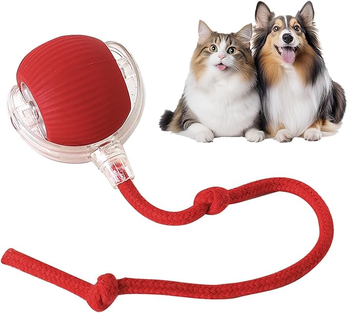Interactive Cat Toys Ball,Movable Cat Toys, Smart 360° Automatic Rolling Pet Ball, USB Rechargeable, Ideal Christmas Halloween Pet Gift, Relieves Boredom for Indoor Cats