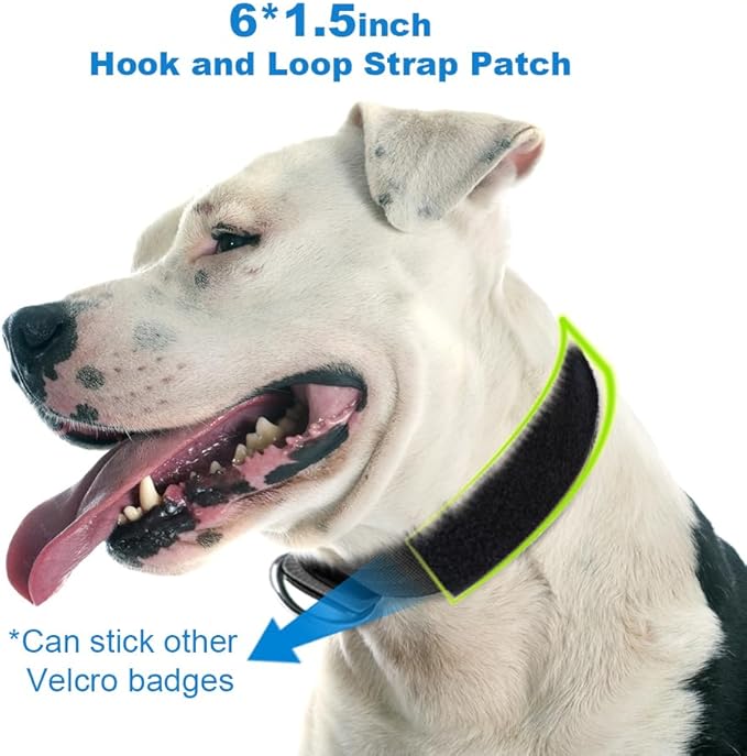 TSPRO Tactical Dog Collar, Adjustable, with Patch & Double Needle Metal Buckle, Heavy Duty for Large to Extra Large Dogs, Durable for Walking, Running, Hiking & Training (Khaki L-XL)