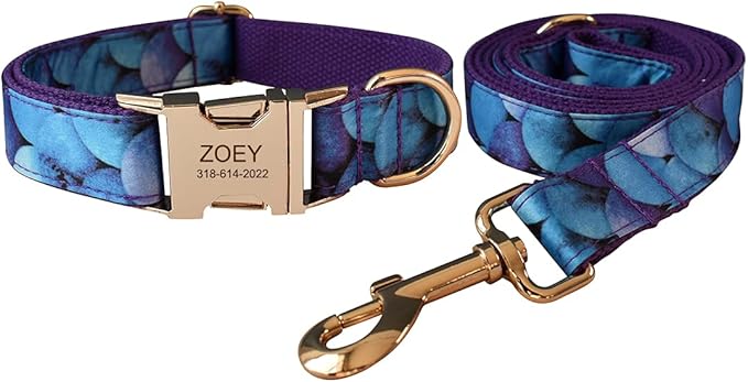 Custom Dog Collar with Names and Phone Number Engraved, Puppy Tags Personalized for Small Medium Large Pets