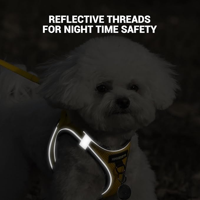 Dog Harness and Leash Set, Dog Harness for Dogs No Pull, No-Chock Step-in Reflective Breathable Lightweight Easy Walk Vest Harnesses with Safety Buckle for Small Medium Dogs, Cats (Yellow, S)