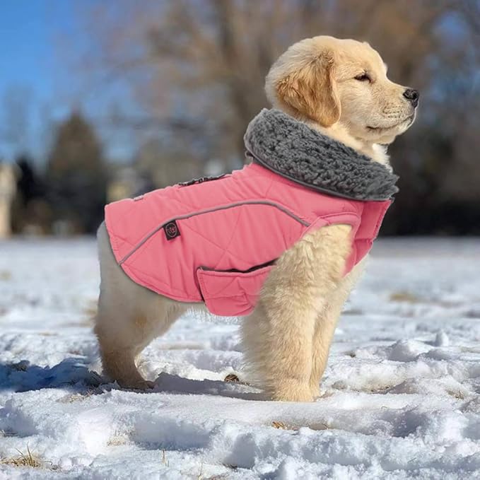 EMUST Winter Coats - Warm Dog Jacket, British Style, Fleece, Windproof for Cold Weather, Pink, XS