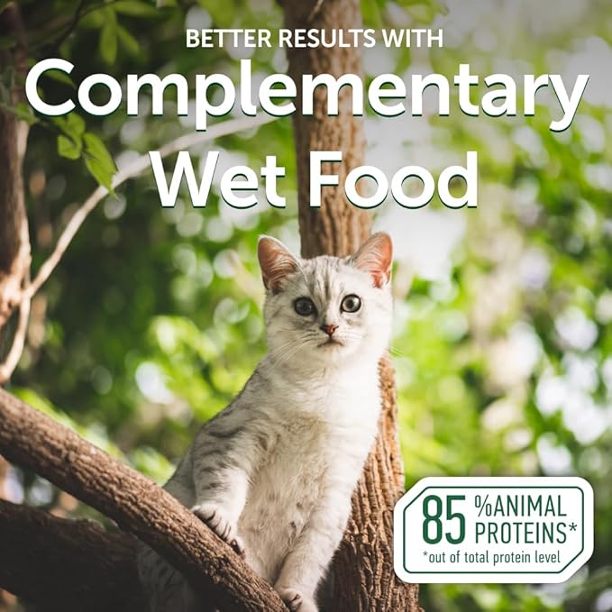 Nature's Protection Wet Cat Food in Gravy - Natural, High Protein, Soft Tuna Fish & Shrimp Shreds for Adult Cats - Can-Free Convenient Pouches 2.46-oz (Superior Care - 24 Pack)