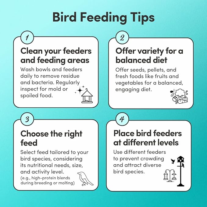 Mycelium Pet Bird Cuisine | Organic Bird Seed for Parakeets, Lovebirds & Small Pet Birds | Vitamin-Enriched Mix with Egg, Millet, Quinoa, Kelp, Oyster Shell | Supports Digestion & Immunity | 5 lb Bag