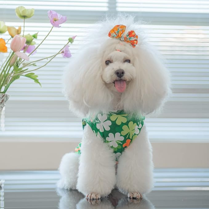 CuteBone Dog Shirts 2-Pack St.Patrick's Day & Easter Soft Pet Clothes Breathable Summer Vest for Small Puppy and Stretchy Cat Apparel 2BX12XL