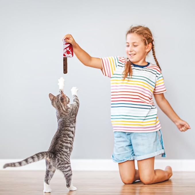 EXPAWLORER Cat Catnip Toys- 4 Psc Interactive Stuffed Knife Cat Nip Toy for Indoor Cats, Bite Resistant Chew Toys Teeth Cleaning Gift for Kitten