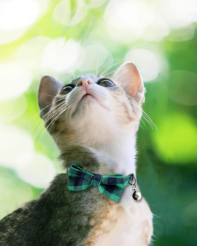 Joytale Upgraded Cat Collar with Bells, Breakaway Cat Collars with Bow Tie, 2 Pack Girl Boy Safety Plaid Kitten Collars, Green+Red