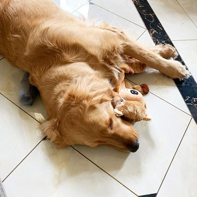 Jalousie 5 Pack Plush Toys Assortment Value Bundle Puppy Pet Mutt Squeak Toy for Medium Large Dogs (5 Pack Premium Corduroy) (1 Pack Large Plush Fox)