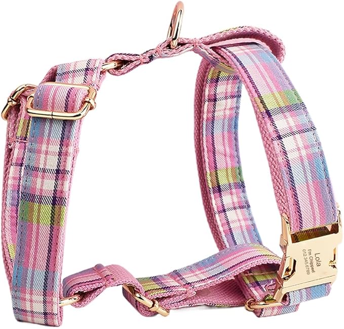 Custom Dog Collar with Names and Phone Number Engraved, Puppy Tags Personalized for Small Medium Large Pets (Colorful Plaid, XS)
